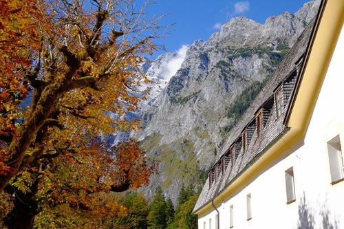 königssee  landscape  nature