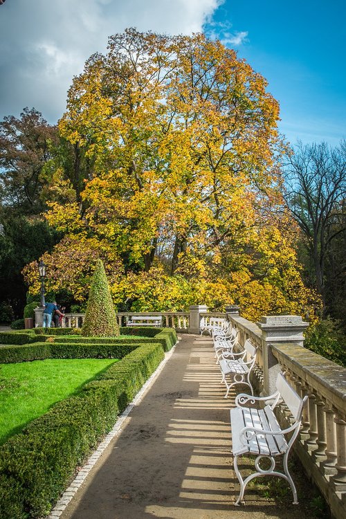 konopiště  castle  park