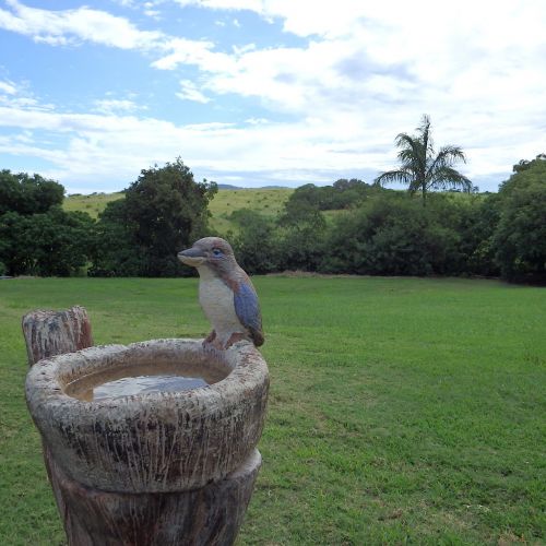 kookaburra ornamental bird bath