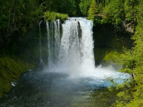 koosah falls waterfall cascade