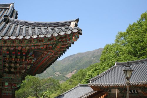 korea buddhist temple tranquil