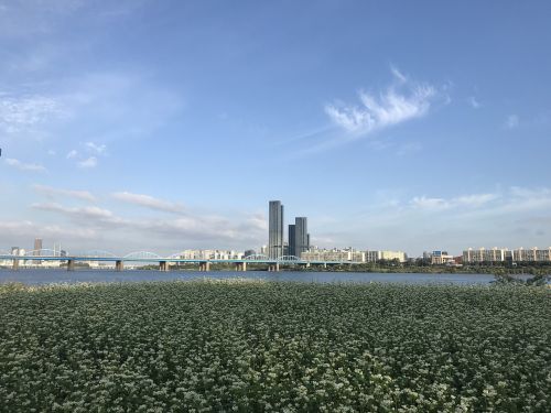 korea seoul han river