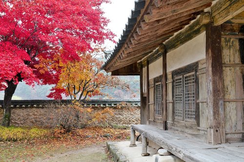 korea  temple  section