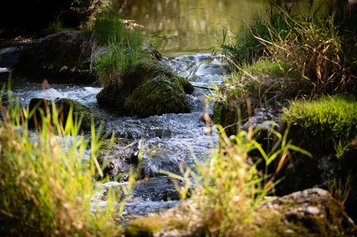 krems  river  nature