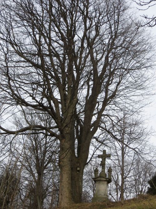 Cross Next To The Tree