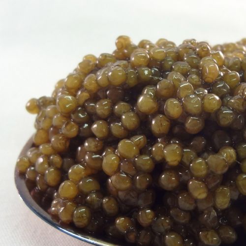 kulugacaviar caviar bestcaviar