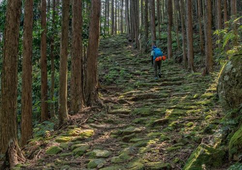 kumano ancient road trekking moss