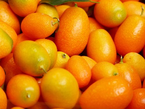 kumquats fruits fruit