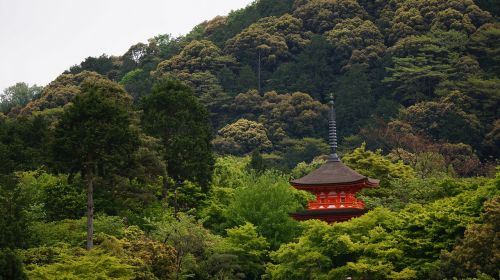 kyoto the scenery temple