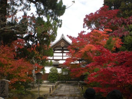 kyoto japan autumn