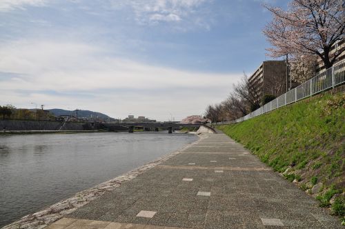 kyoto kamogawa river