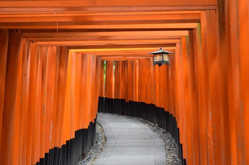 kyoto  fushimi inari shrine