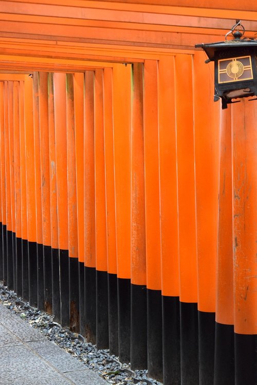 kyoto  fushimi inari shrine