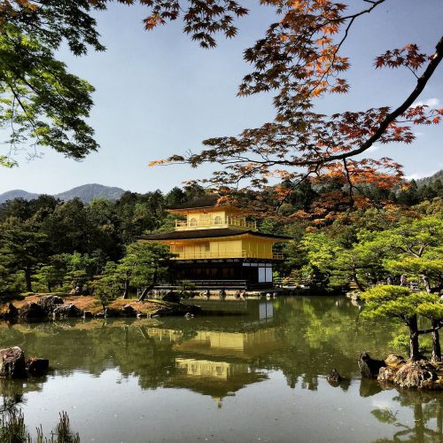 kyoto japan goldentemple