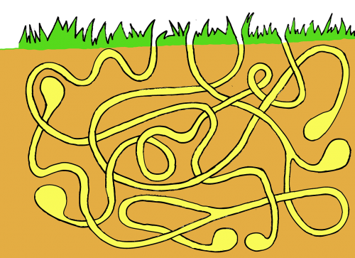 labyrinth maze under the ground