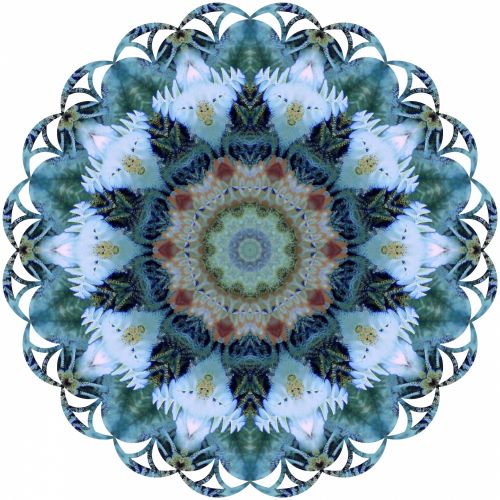 Lace Kaleidoscope Image