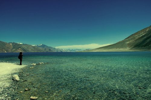 ladakh india tibet