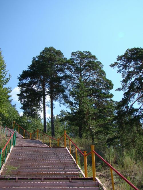 ladder stage railing