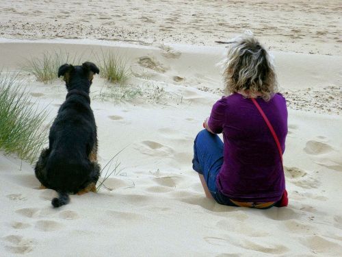 woman and dog beach scene sand