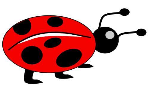 lady bug kids animal