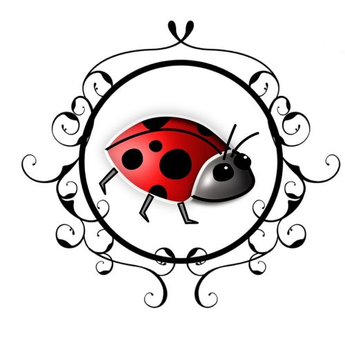 ladybug insect framed