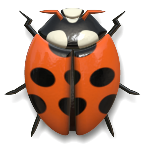 ladybug animal insect