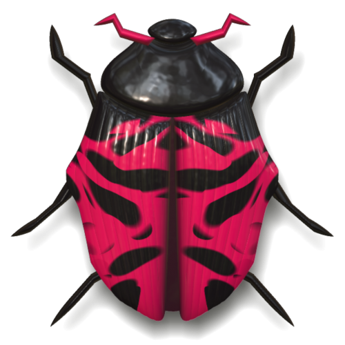 ladybug animal insect