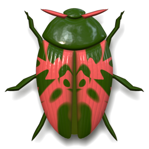 ladybug insect animal