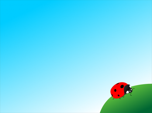 ladybug insect vector