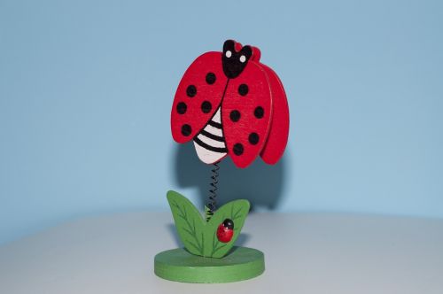 ladybug frame lucky charm