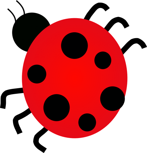 ladybug dots insect