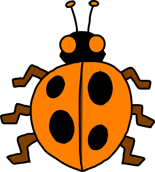 ladybug orange black