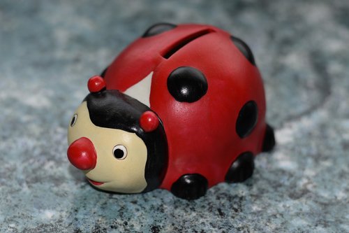 ladybug  piggy bank  money