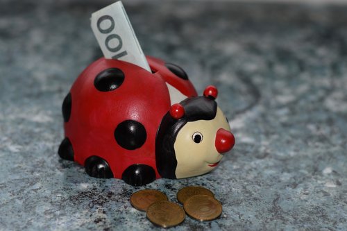 ladybug  piggy bank  money