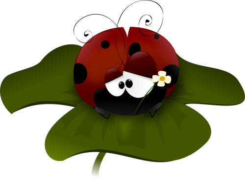 ladybug flower bug