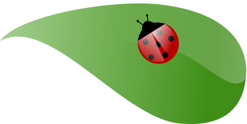 ladybug green leaf