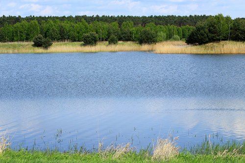 lagoon  pool  pond-water