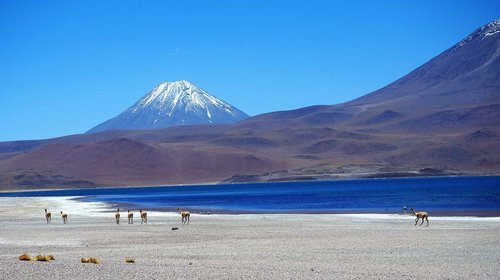 lagoon  national park los flamenco  chile