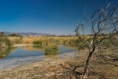 laguna lake fishing