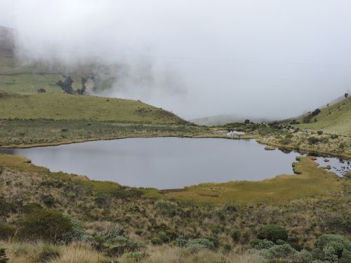 laguna cold moor