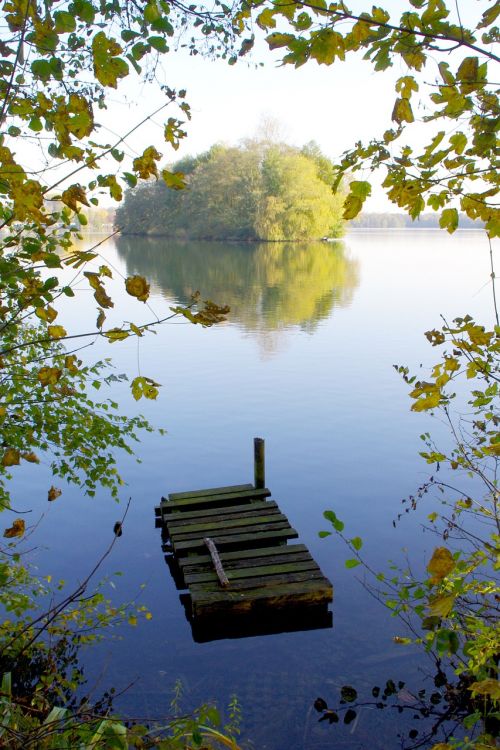 lake trees landscape