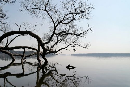 lake landscape water