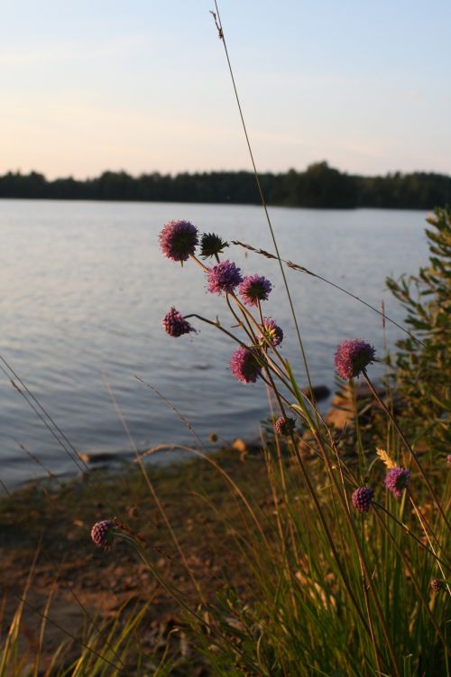 lake sweden calm
