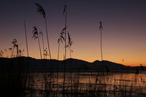 lake winter evening