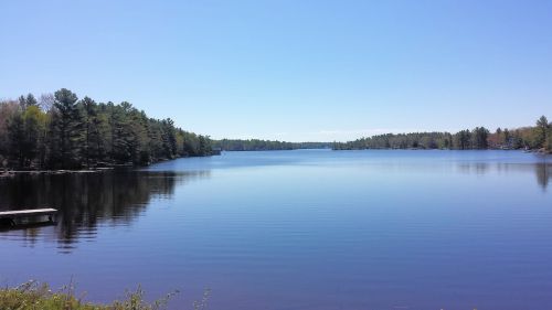 lake water nature