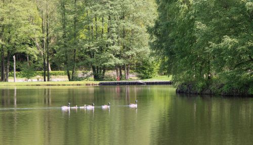 lake nature landscape