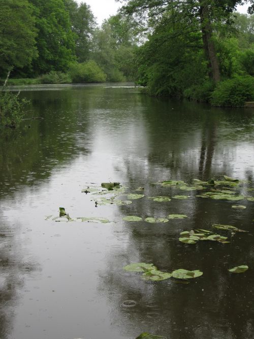 lake water landscape