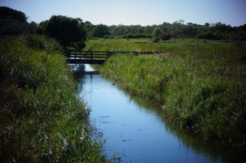 lake water nature