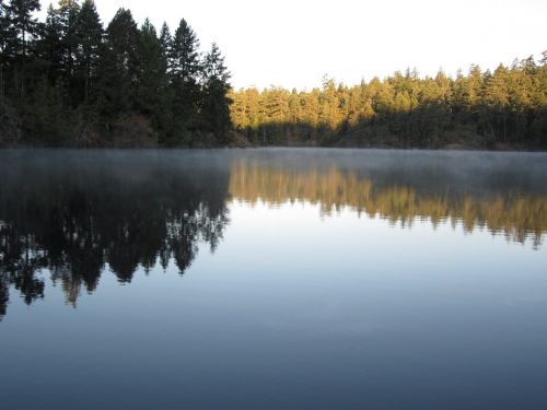 lake misty reflection