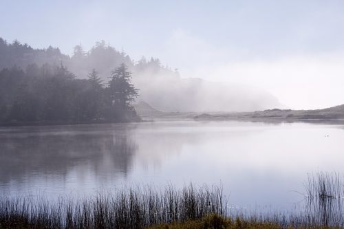 lake oregon fog